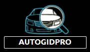 AutoGidPRO франшиза отзывы